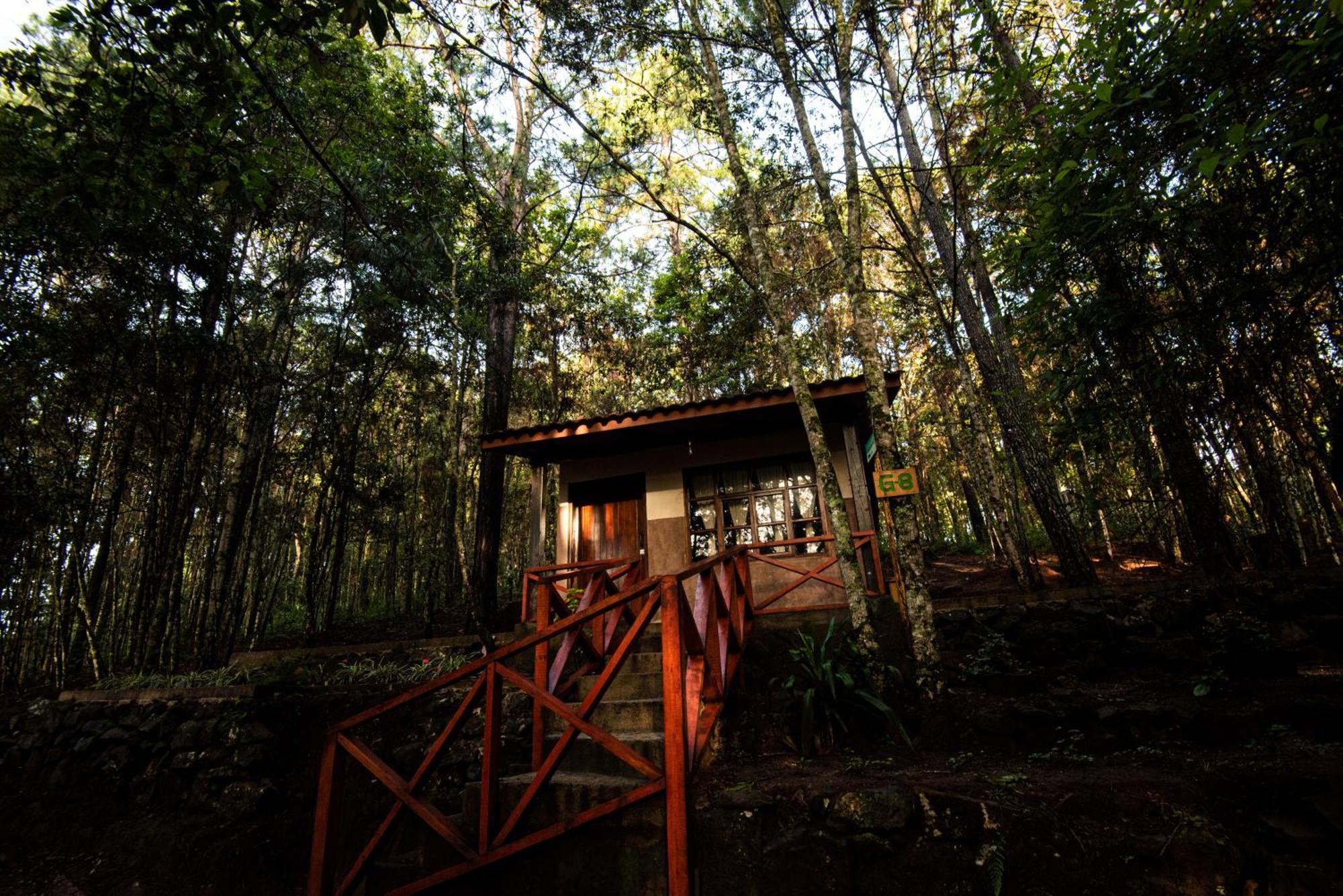 Cotan Ecolodge La Esperanza Exterior photo